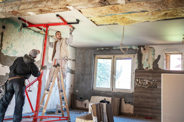 Best Insulation Maintenance and Repair in Pender, NE